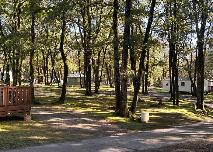 Camping Les Petites Minaudieres